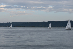 DSC_0151