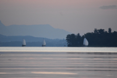 DSC_0164