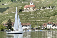 IMG-20250513-WA0008