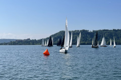 IMG-20250513-WA0012