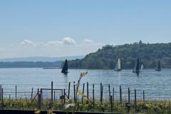 IMG-20250513-WA0023