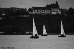 IMG_2626
