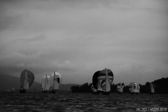 IMG_4028