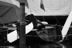 IMG_4408