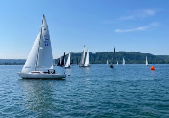 Un Bol d’Or ensoleillé dans de petits airs