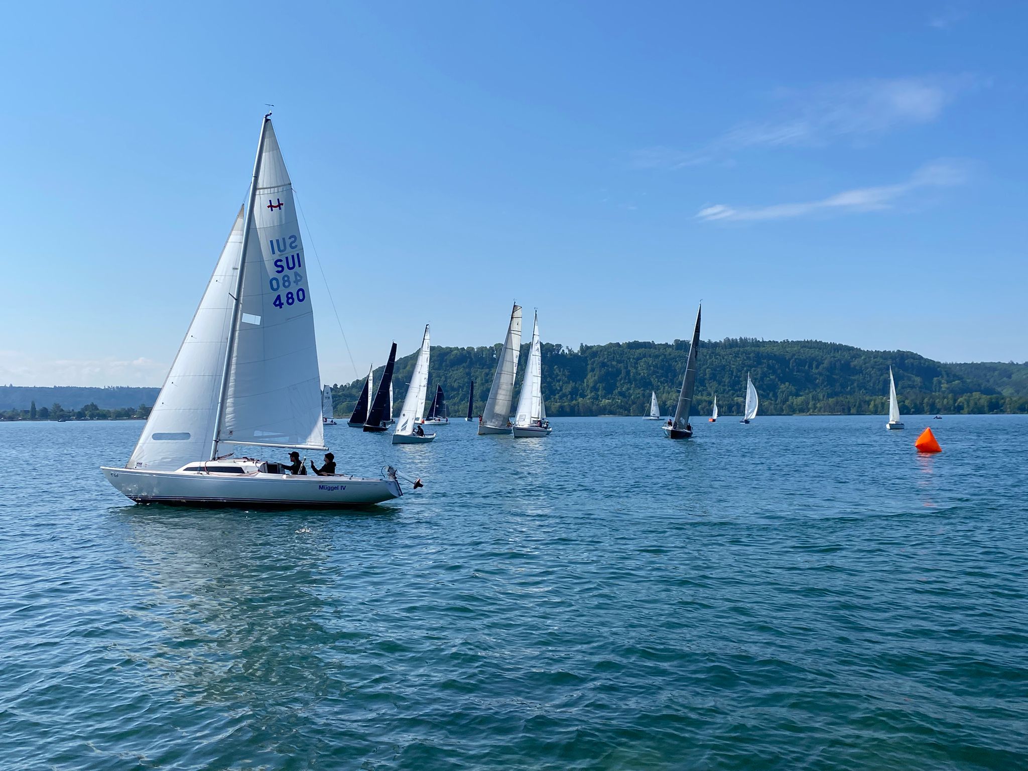 Un Bol d'Or ensoleillé dans de petits airs