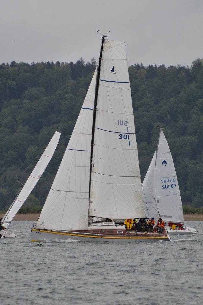Bol d'Or 2014