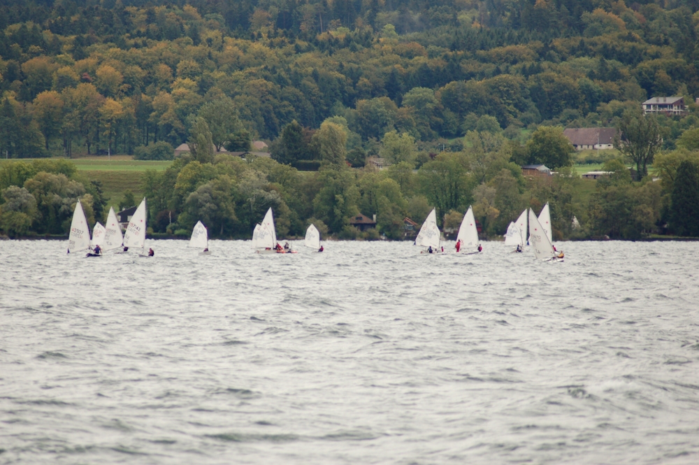 C3L Wingreis 2011