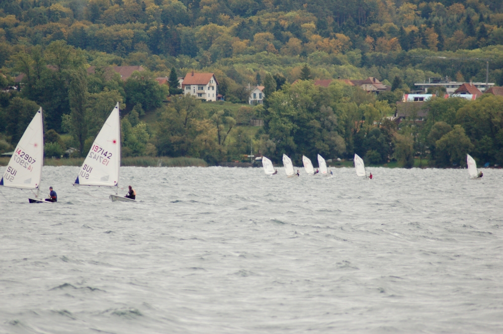 C3L Wingreis 2011