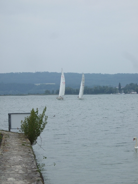 Divers 2011