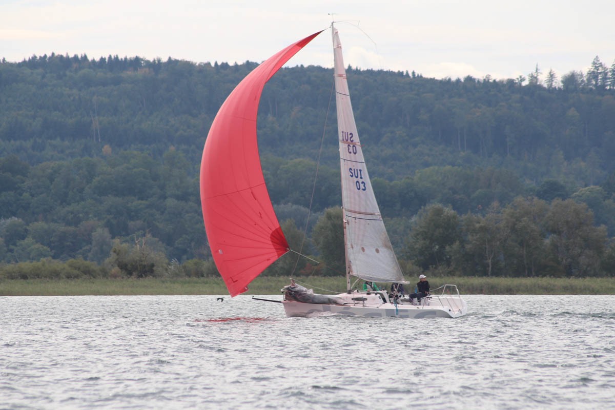 Hagneck Banks Race 2013