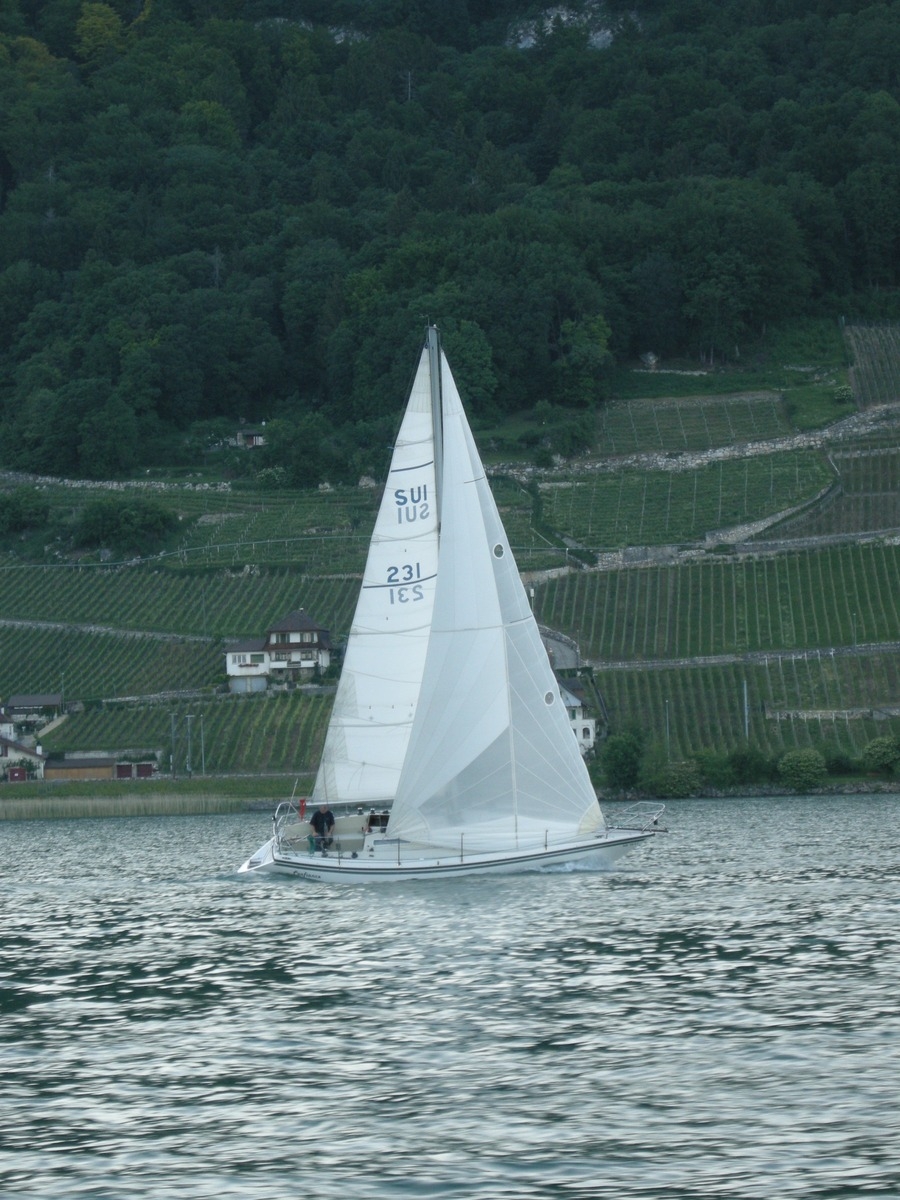 La nocturne 2010