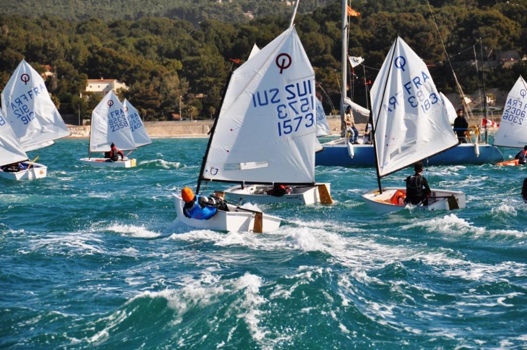 Bandol 2014