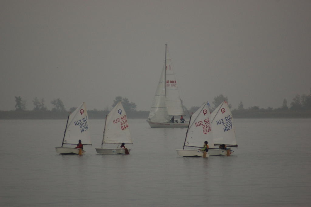St-Céleste 2011