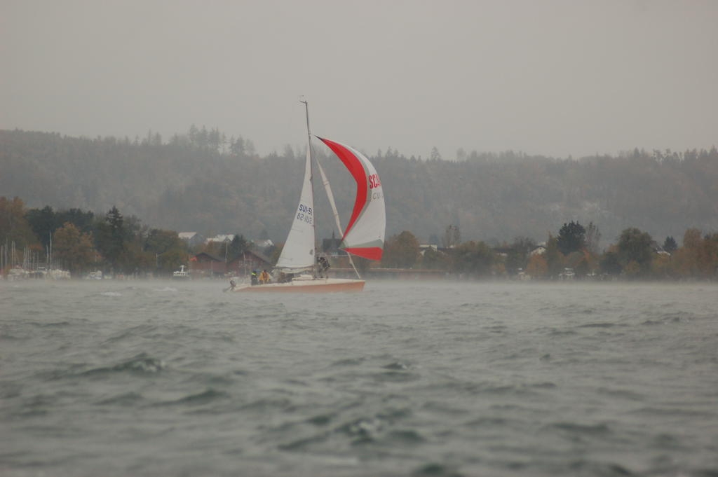 St-Céleste 2012
