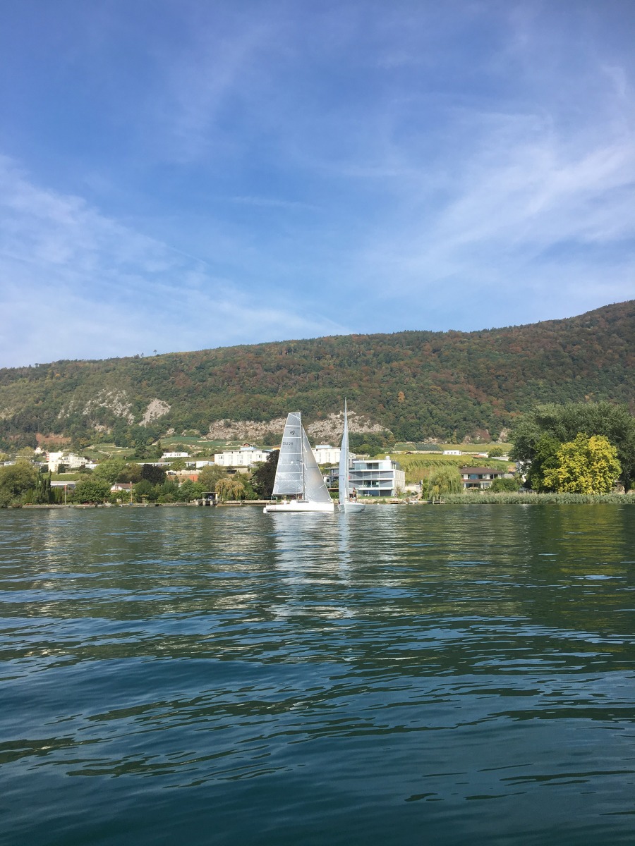 Triangulaire 2018