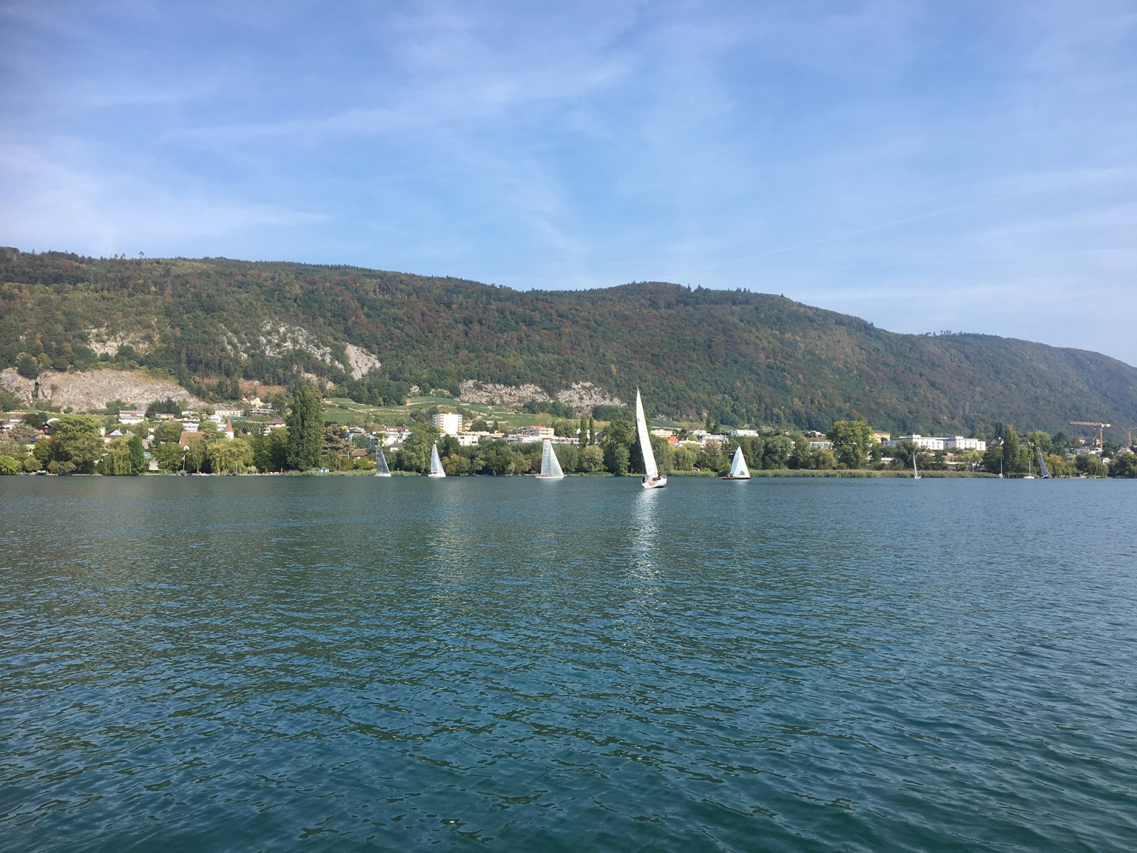 Triangulaire 2018
