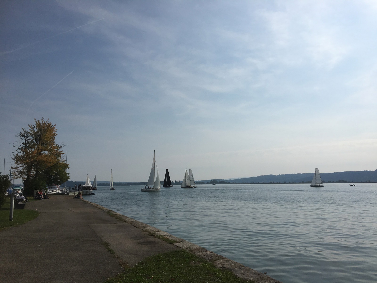 Triangulaire 2018