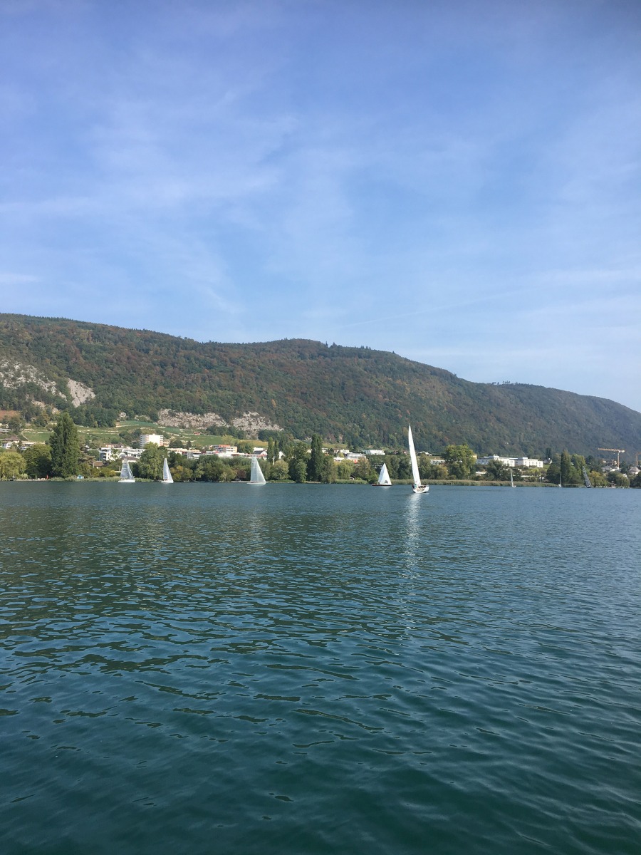 Triangulaire 2018