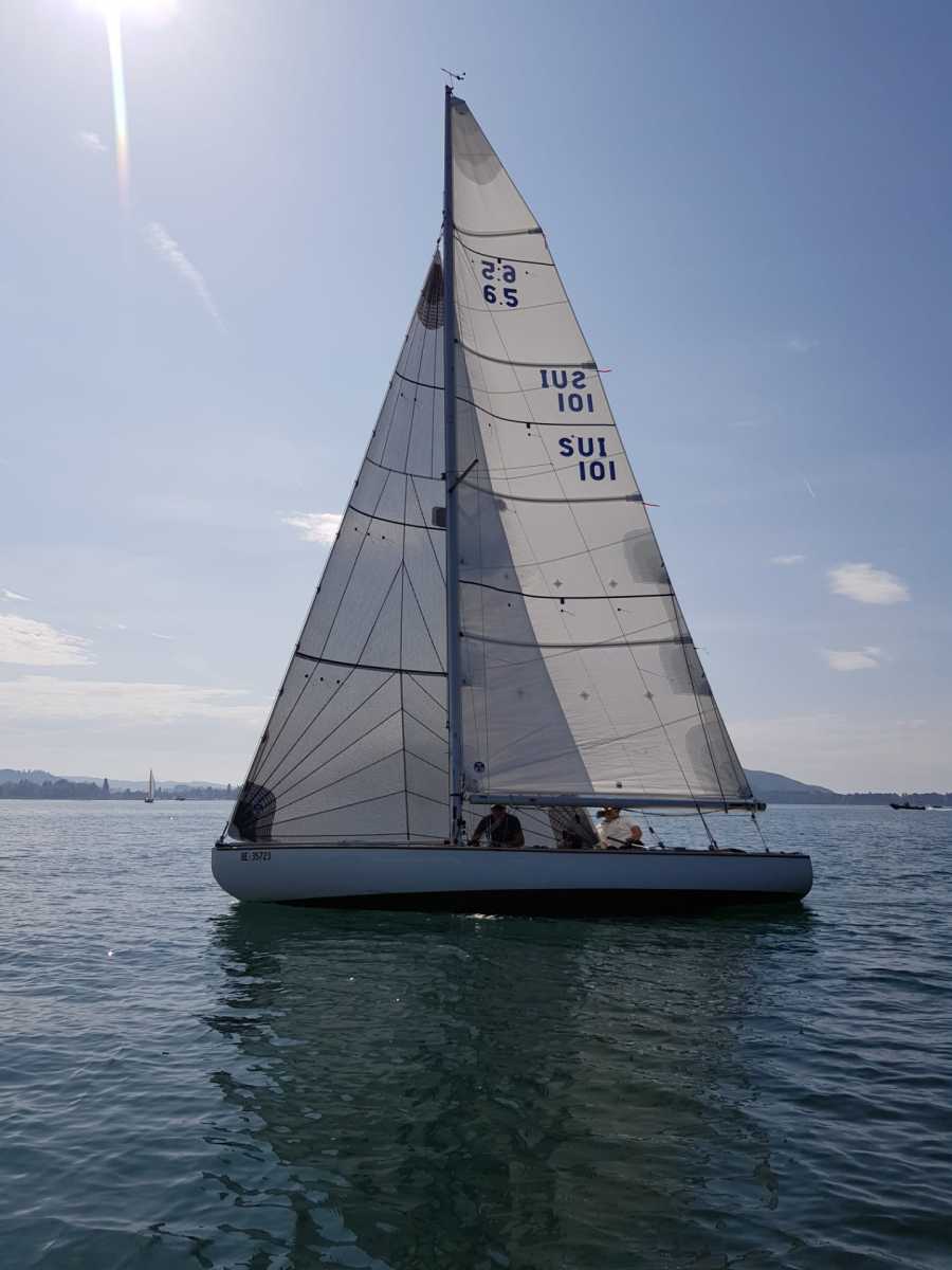 Triangulaire 2019