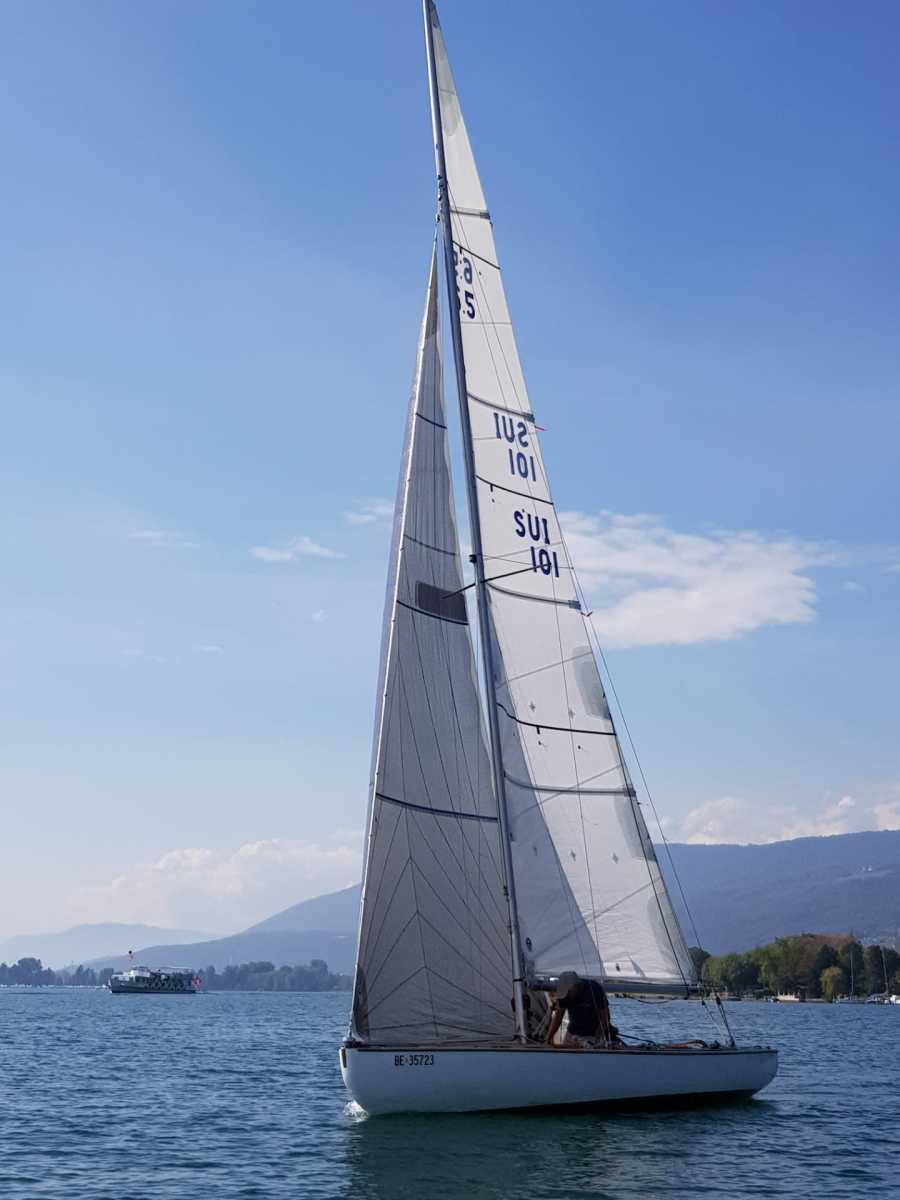 Triangulaire 2019