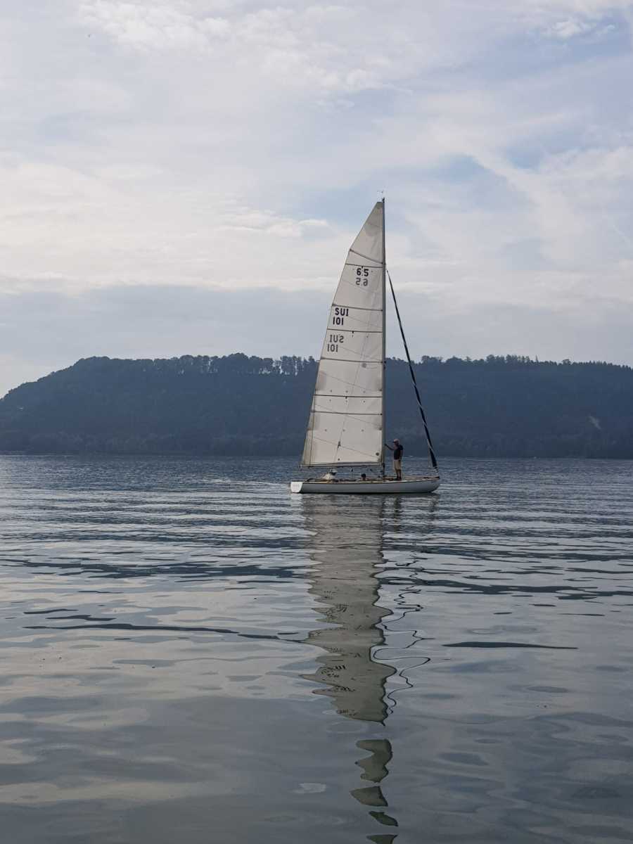 Triangulaire 2019