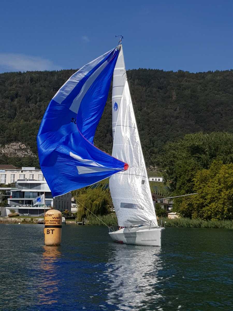 Triangulaire 2019