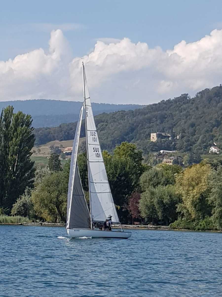 Triangulaire 2019