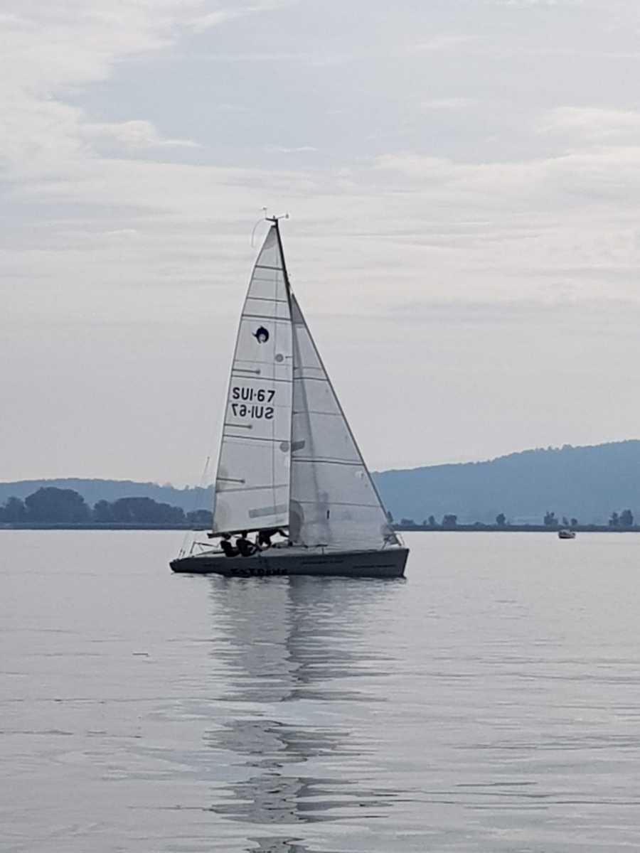 Triangulaire 2019