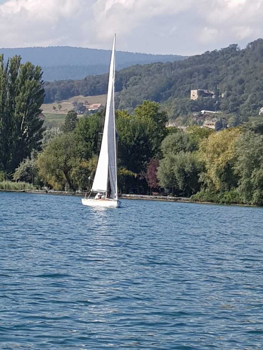 Triangulaire 2019