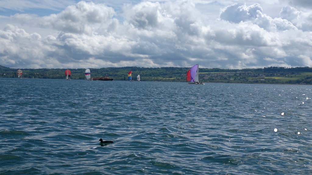 Bol d'Or 2012