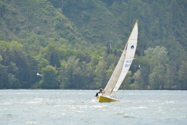 Tribordaise 2014