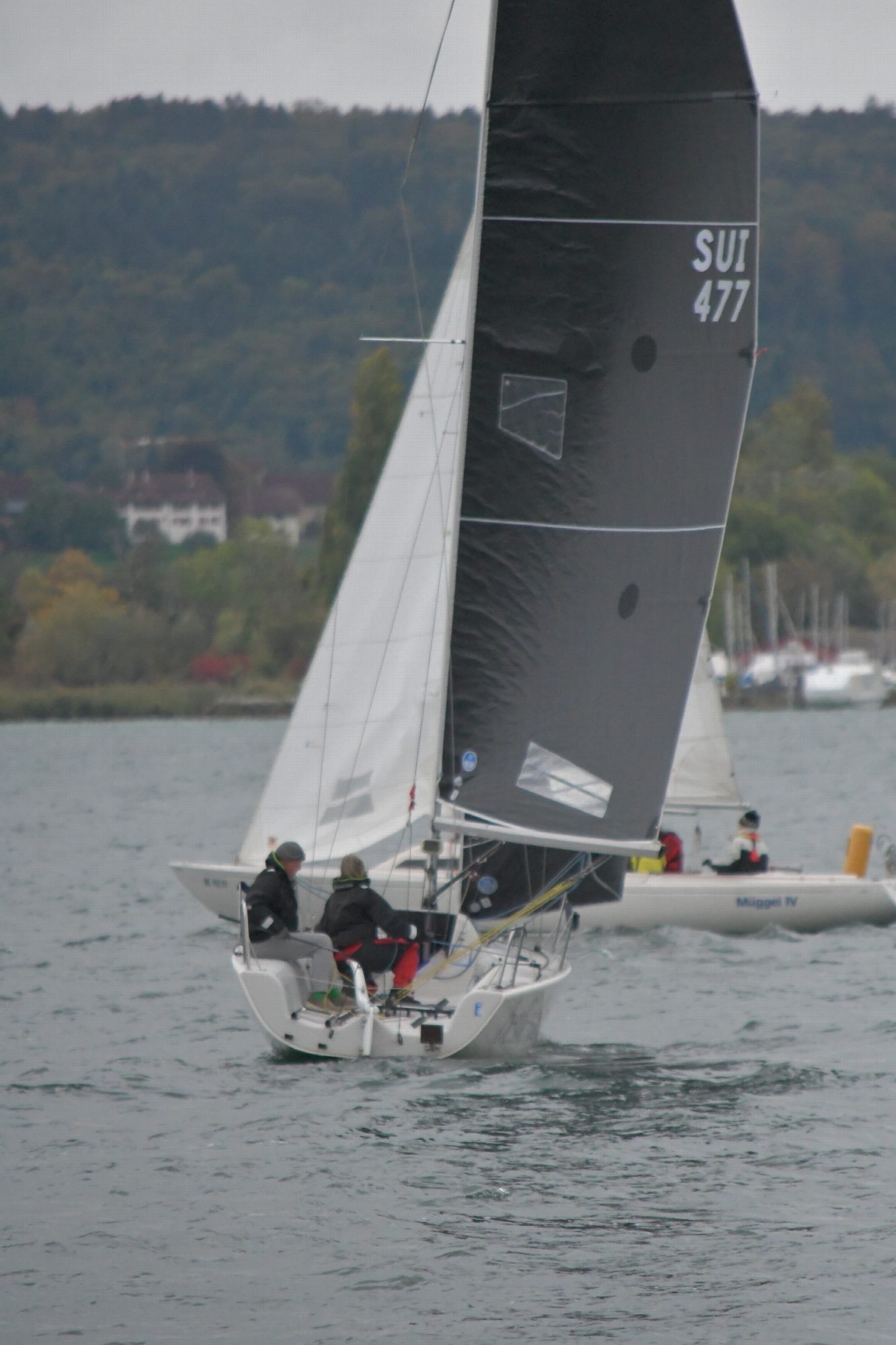 Sainte-Céleste 2026